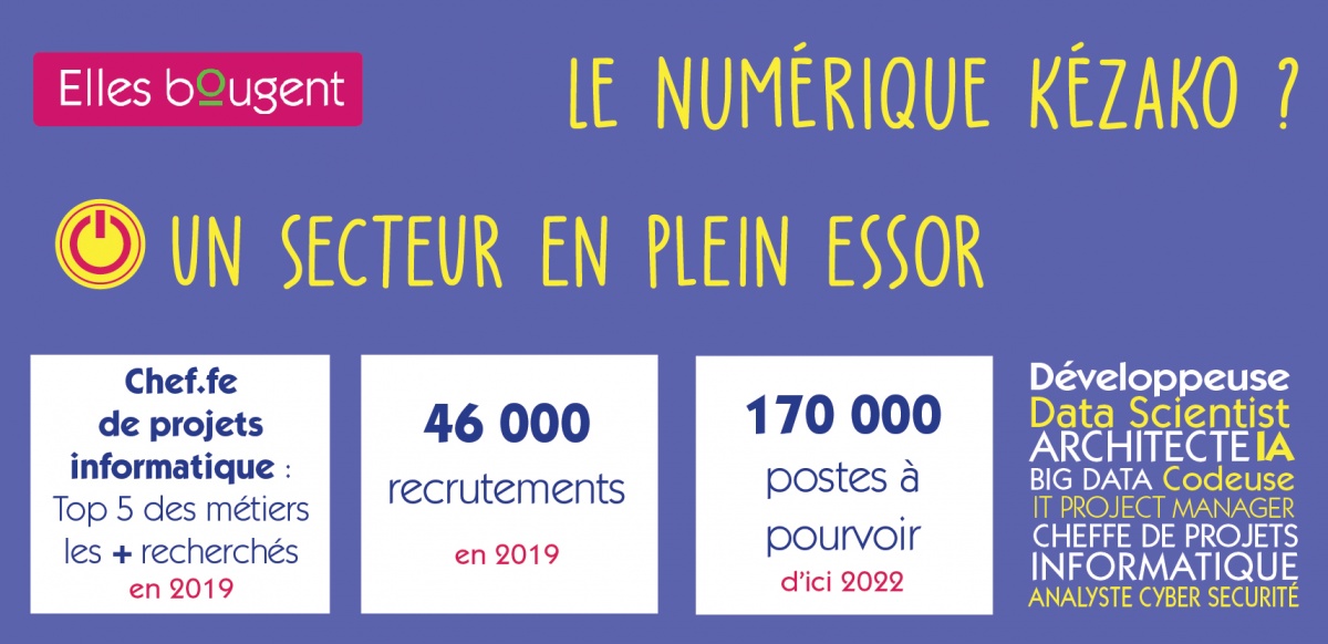 infographie_numerique_1.zoom.jpg