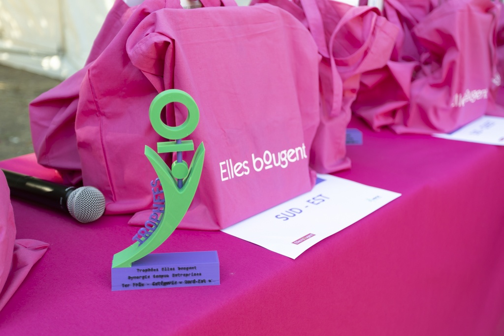 remise des trophees elles bougent synergie_Franck Beloncle