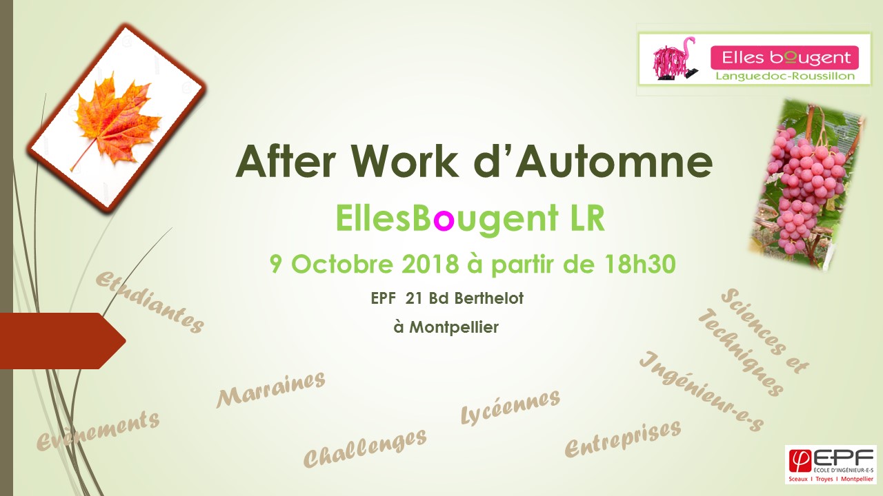 Afterwork d'automne délégation régionale Elles Bougent en Languedoc-Roussillon