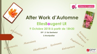 Afterwork d'automne Languedoc-Roussillon