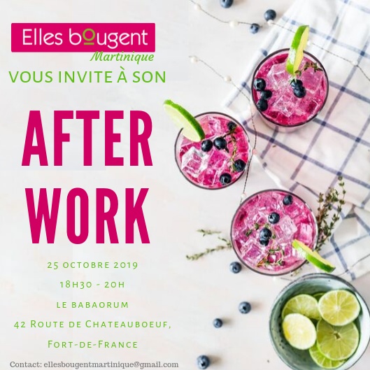 Afterwork de la délégation régionale Elles Bougent en martinique