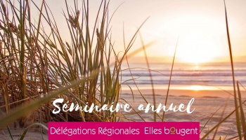 Séminaire annuel des Délégations Régionales Elles bougent