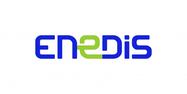 enedis_logotype_fondclair_rvb_exe.medium.jpg