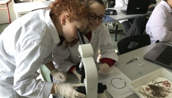 Lycée Français de Shangaï - Shanghai