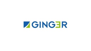 Groupe Ginger