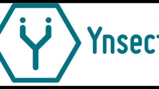 Ynsect