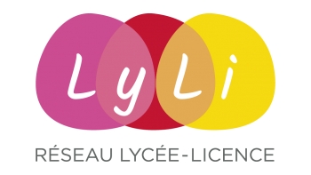 Réseau Lyli